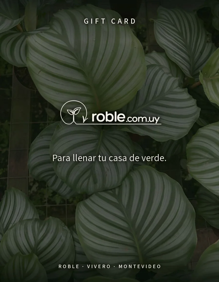 Gift Card Roble $8.800